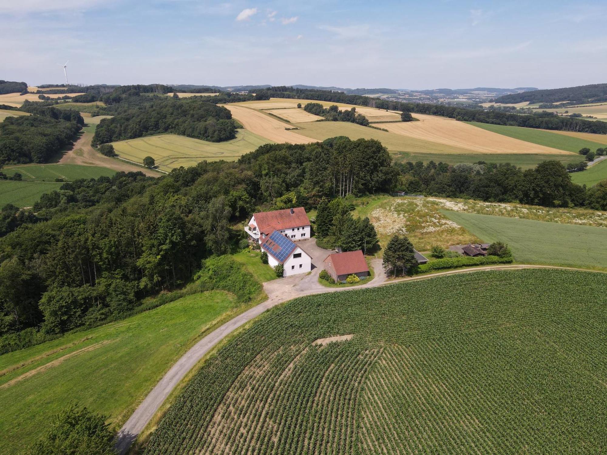 Idyllische Ferienwohnung Im Kalletal Exterior foto